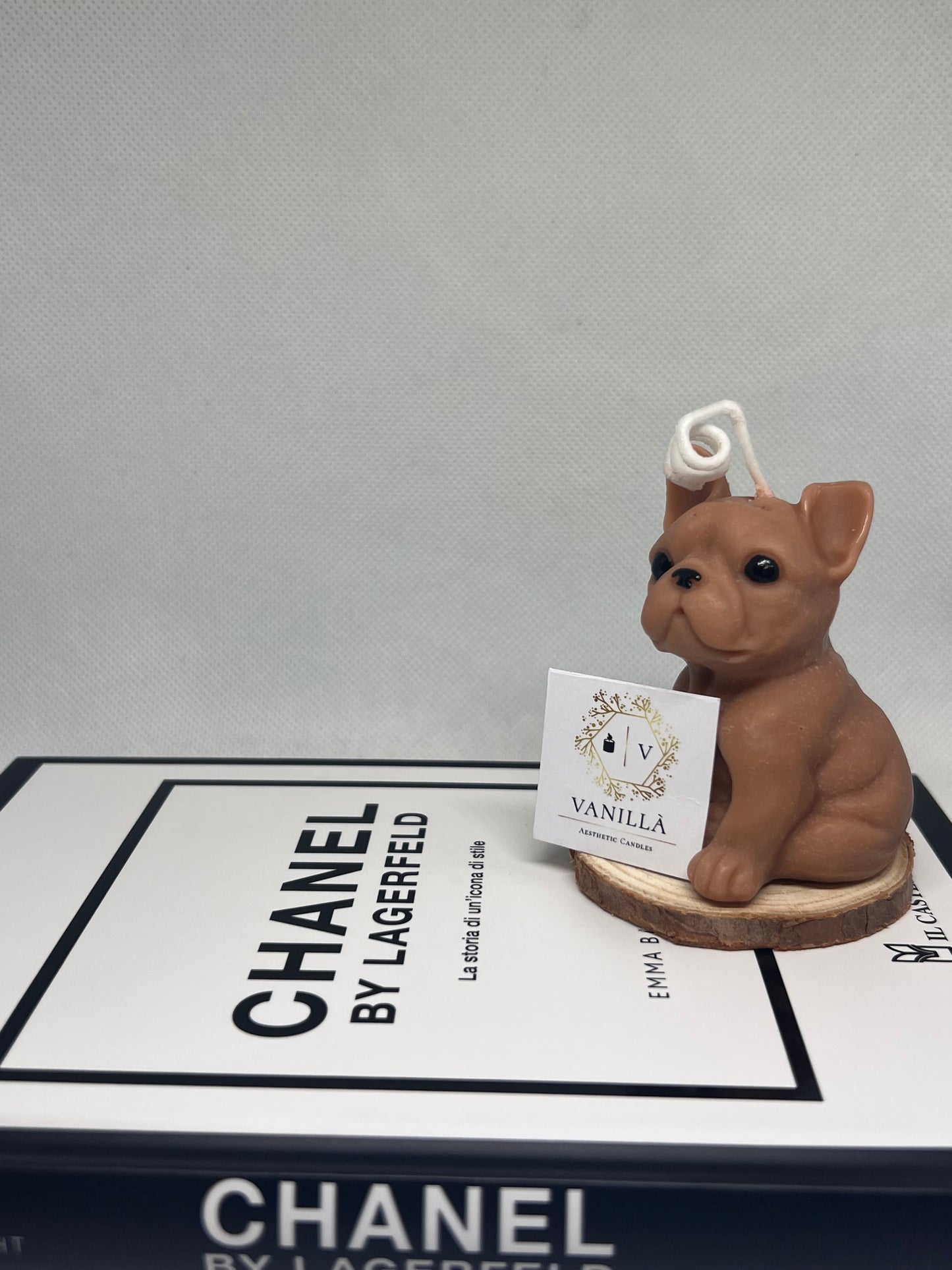 Tyson bulldog francese