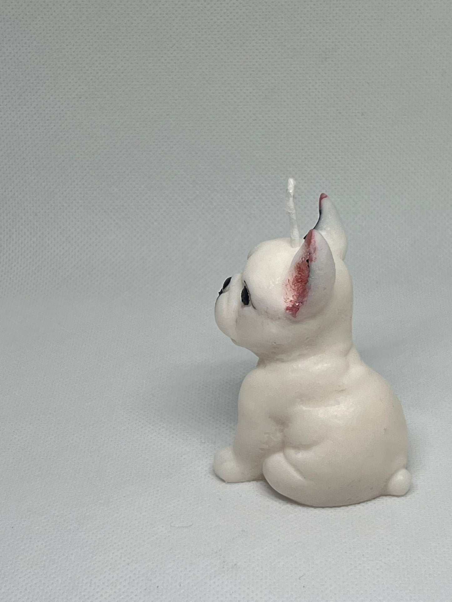 Byron bulldog francese