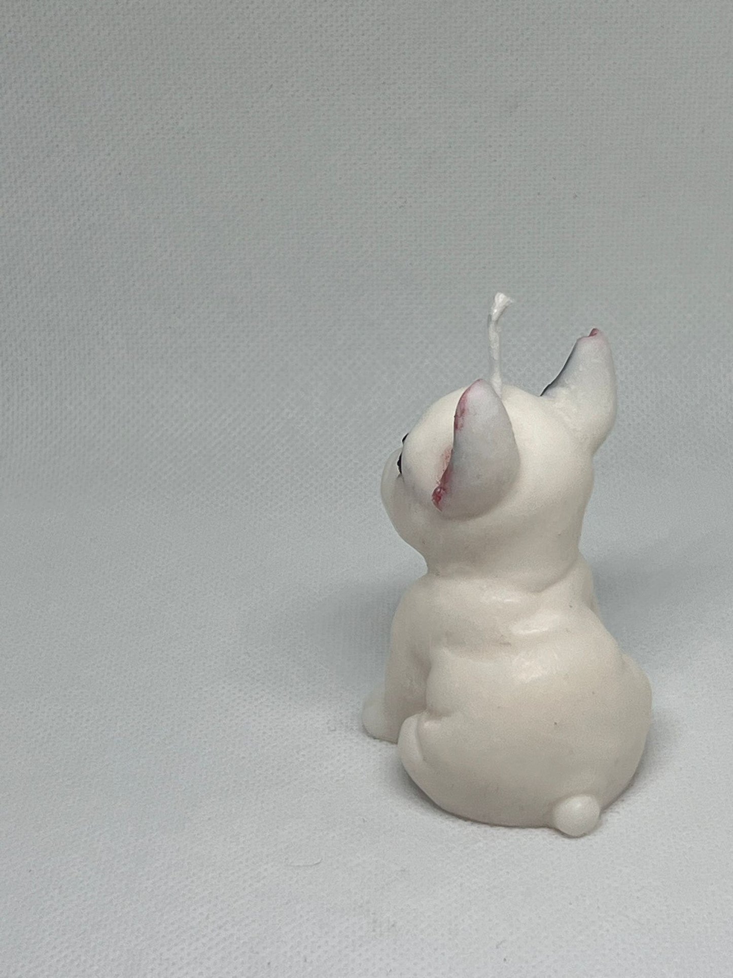 Byron bulldog francese