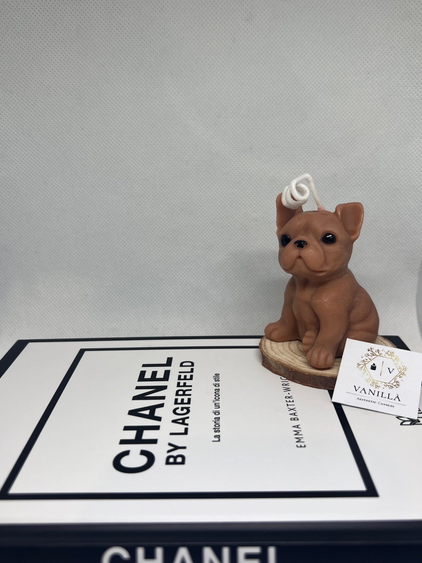 Tyson bulldog francese