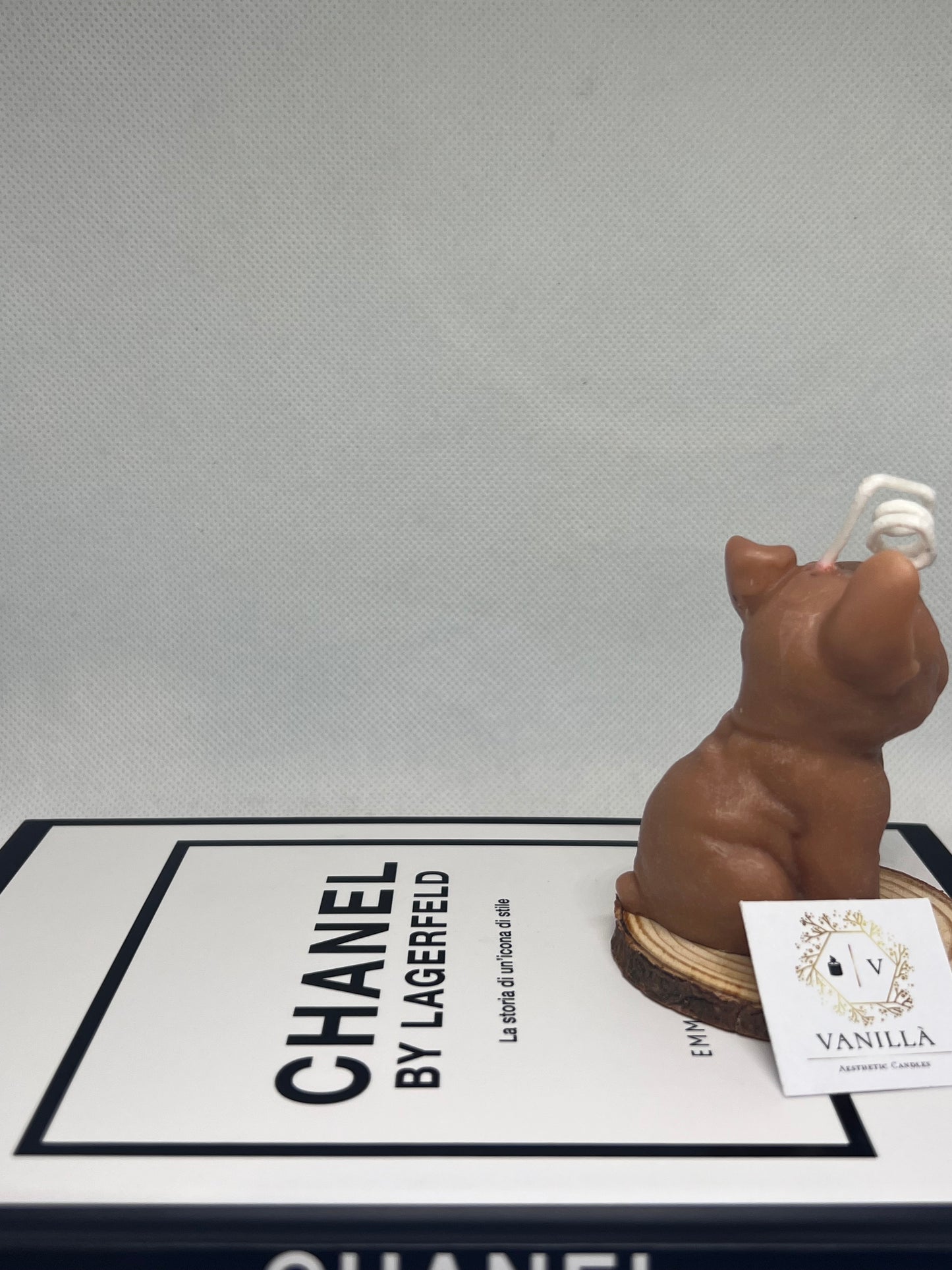 Tyson bulldog francese