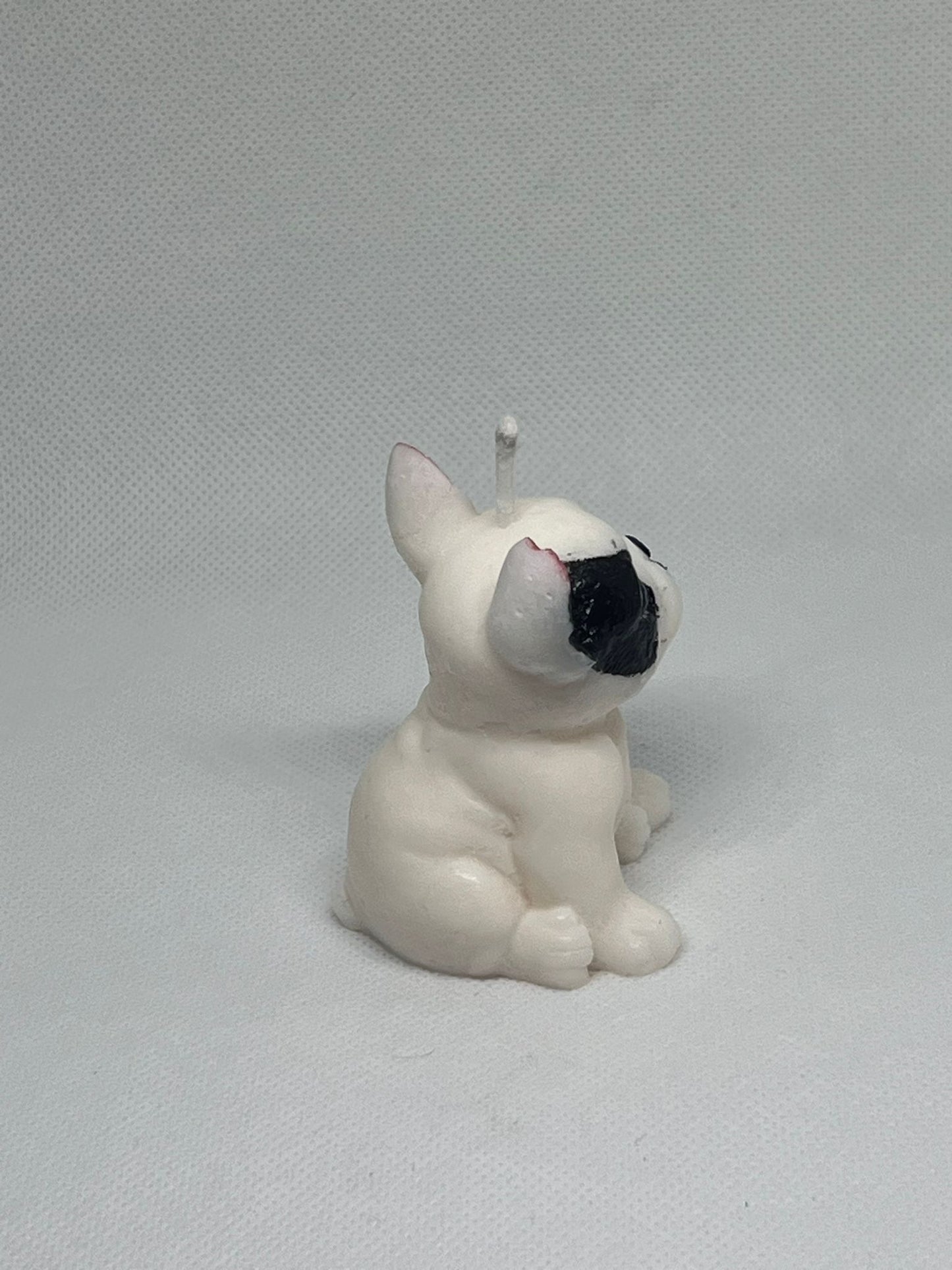 Byron bulldog francese