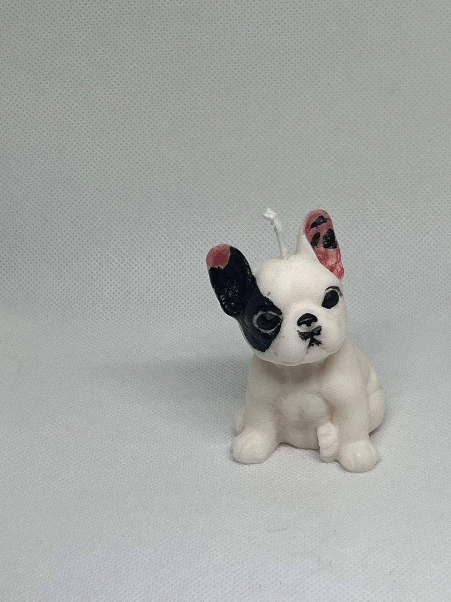 Byron bulldog francese