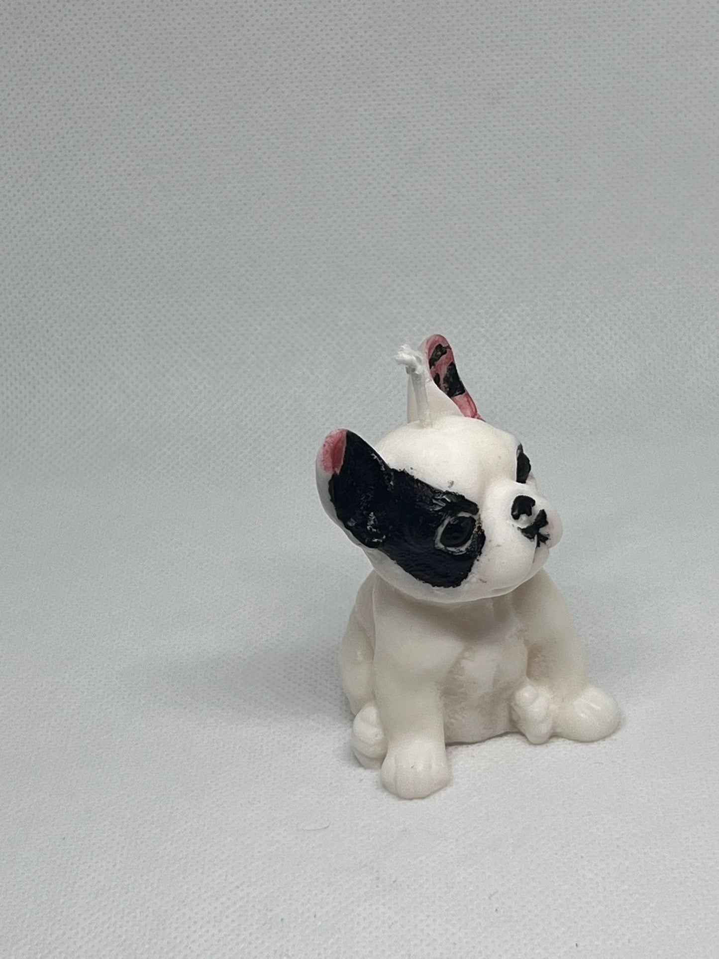 Byron bulldog francese