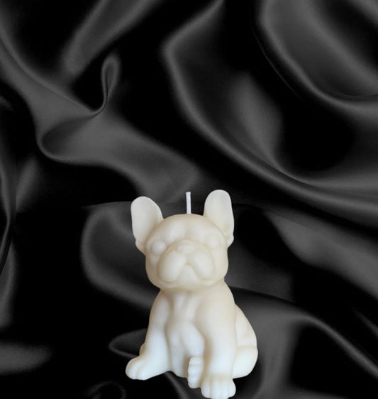 Bulldog francese